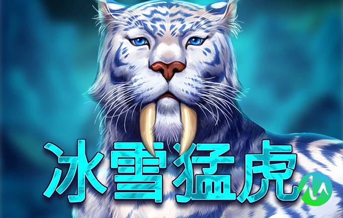 55世纪平台正规吗